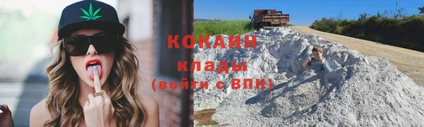 ПСИЛОЦИБИНОВЫЕ ГРИБЫ Вяземский