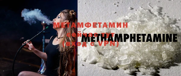 ПСИЛОЦИБИНОВЫЕ ГРИБЫ Вяземский