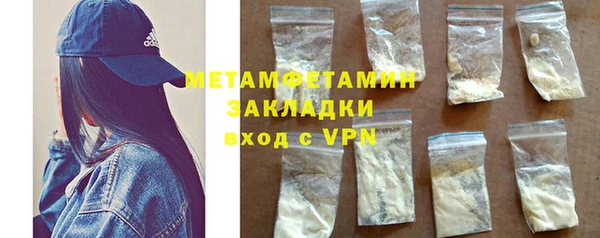 ПСИЛОЦИБИНОВЫЕ ГРИБЫ Вяземский